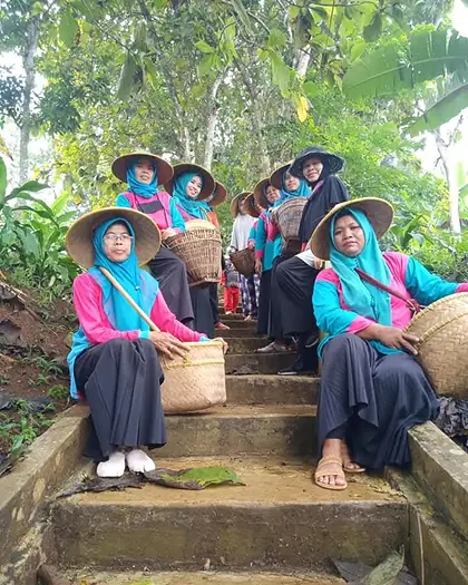 Panen bersama petani mitra